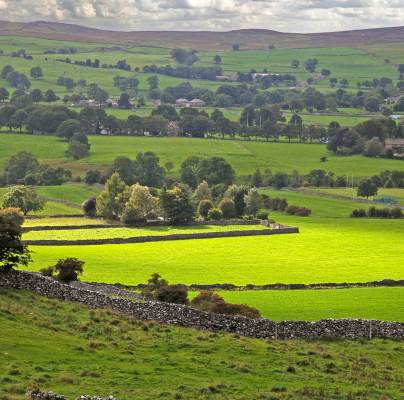 Yorkshire dales in summer